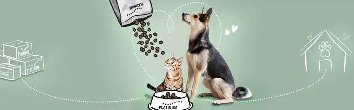 PLATINUM Ingredients 메인 비주얼