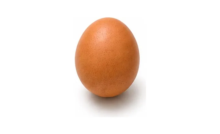 계란 원재료