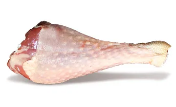 칠면조 원재료