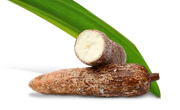 유카 원재료