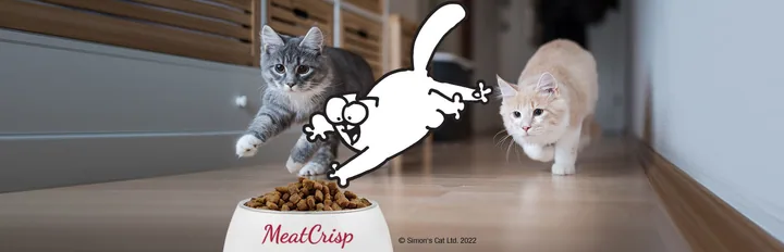 PLATINUM MeatCrisp와 고양이 비주얼