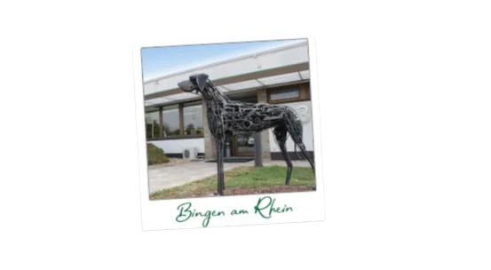 Bingen am Rhein and PLATINUM homepage relaunch