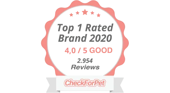 Top 1 Rated Brand award