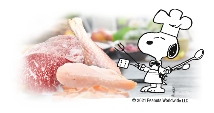 Fleischsaftgarung and Snoopy ambassador
