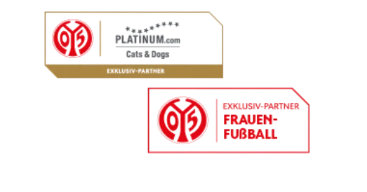 Mainz 05 youth training jersey partnership