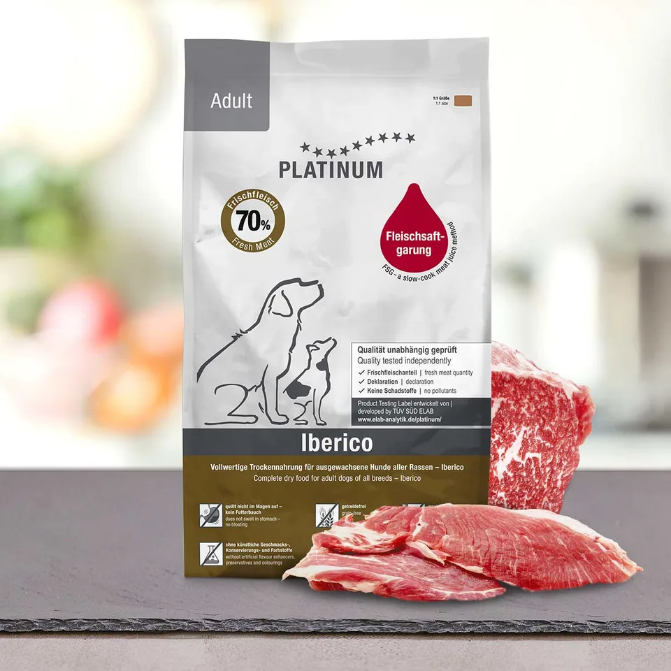 Adult Iberico